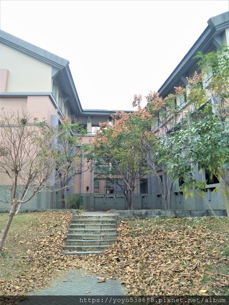 IMG20200102155044 (2)