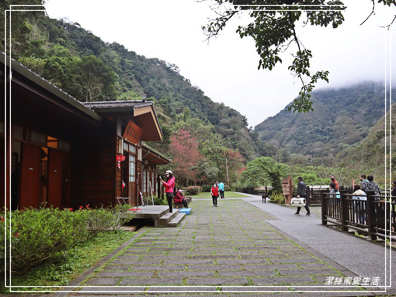 張學良文化園區 x三毛故居(夢屋)-新竹/五峰清泉風景區怎麼玩?漫步賞櫻走吊橋逛市集+將軍湯泡腳好舒暢