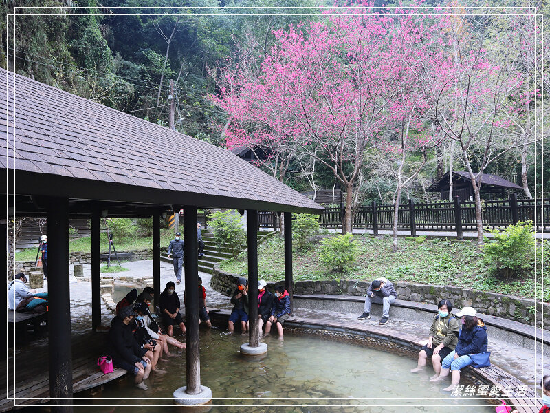 張學良文化園區 x三毛故居(夢屋)-新竹/五峰清泉風景區怎麼玩?漫步賞櫻走吊橋逛市集+將軍湯泡腳好舒暢