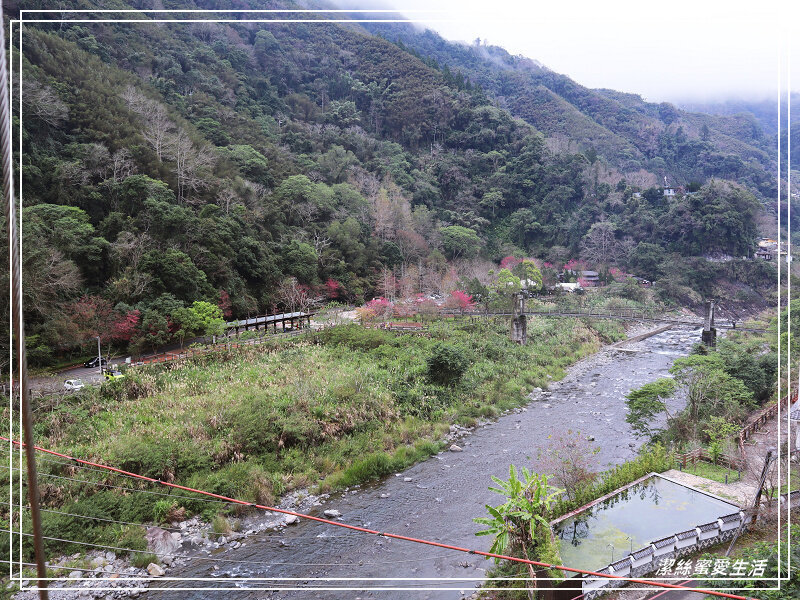 張學良文化園區 x三毛故居(夢屋)-新竹/五峰清泉風景區怎麼玩?漫步賞櫻走吊橋逛市集+將軍湯泡腳好舒暢