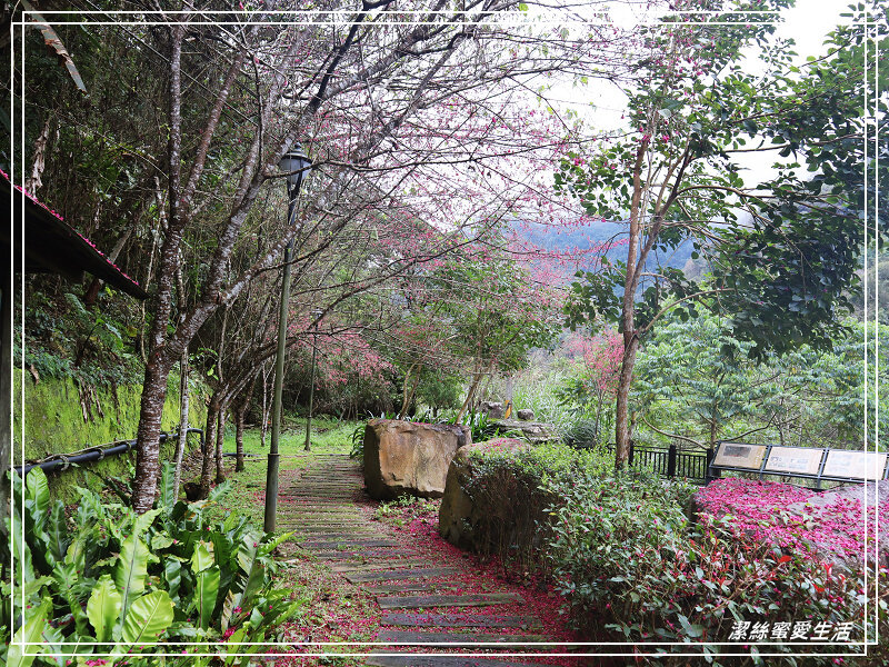 張學良文化園區 x三毛故居(夢屋)-新竹/五峰清泉風景區怎麼玩?漫步賞櫻走吊橋逛市集+將軍湯泡腳好舒暢