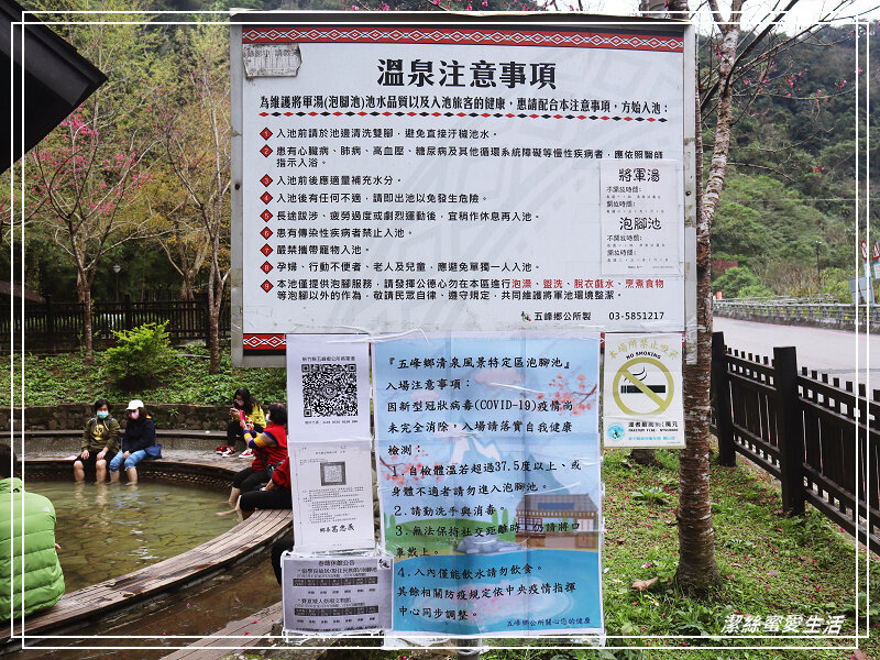 張學良文化園區 x三毛故居(夢屋)-新竹/五峰清泉風景區怎麼玩?漫步賞櫻走吊橋逛市集+將軍湯泡腳好舒暢