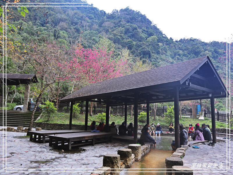 張學良文化園區 x三毛故居(夢屋)-新竹/五峰清泉風景區怎麼玩?漫步賞櫻走吊橋逛市集+將軍湯泡腳好舒暢