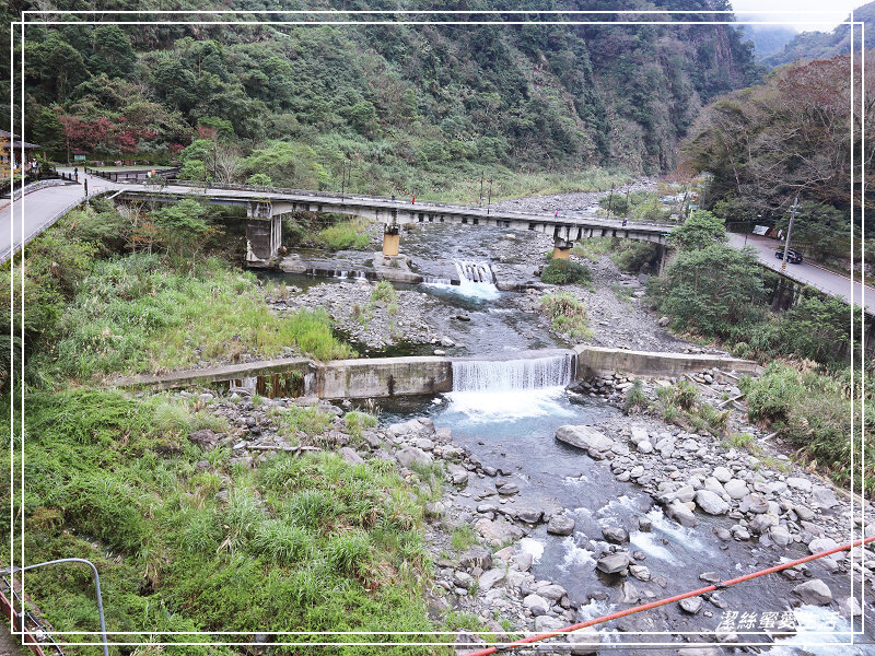 張學良文化園區 x三毛故居(夢屋)-新竹/五峰清泉風景區怎麼玩?漫步賞櫻走吊橋逛市集+將軍湯泡腳好舒暢