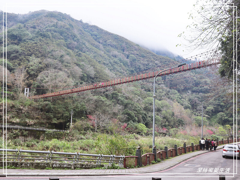 張學良文化園區 x三毛故居(夢屋)-新竹/五峰清泉風景區怎麼玩?漫步賞櫻走吊橋逛市集+將軍湯泡腳好舒暢