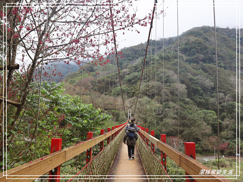 張學良文化園區 x三毛故居(夢屋)-新竹/五峰清泉風景區怎麼玩?漫步賞櫻走吊橋逛市集+將軍湯泡腳好舒暢