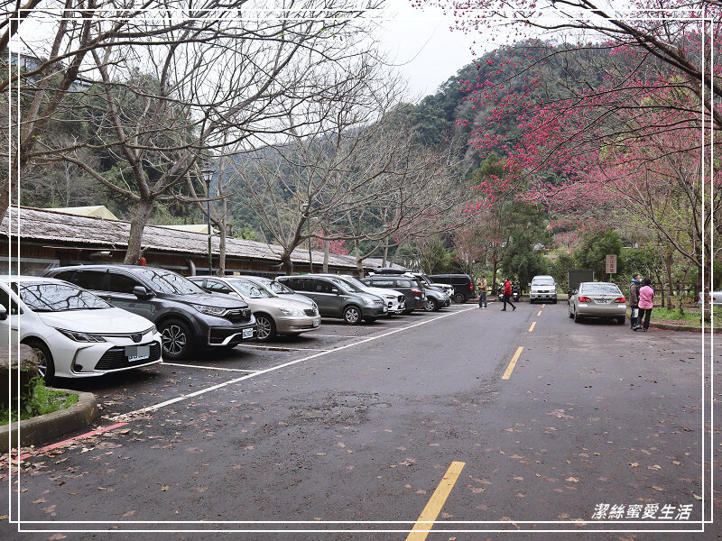 張學良文化園區 x三毛故居(夢屋)-新竹/五峰清泉風景區怎麼玩?漫步賞櫻走吊橋逛市集+將軍湯泡腳好舒暢