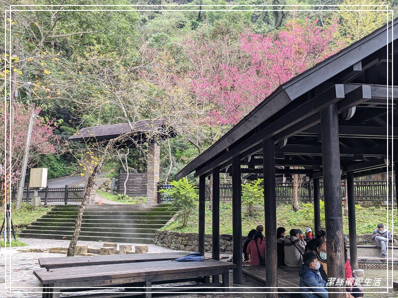 張學良文化園區 x三毛故居(夢屋)-新竹/五峰清泉風景區怎麼玩?漫步賞櫻走吊橋逛市集+將軍湯泡腳好舒暢