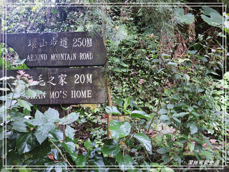 張學良文化園區 x三毛故居(夢屋)-新竹/五峰清泉風景區怎麼玩?漫步賞櫻走吊橋逛市集+將軍湯泡腳好舒暢