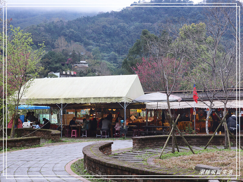 張學良文化園區 x三毛故居(夢屋)-新竹/五峰清泉風景區怎麼玩?漫步賞櫻走吊橋逛市集+將軍湯泡腳好舒暢