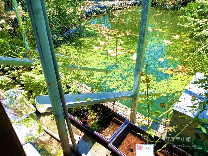 三星慢漫走 宜蘭三星旅遊二天一夜