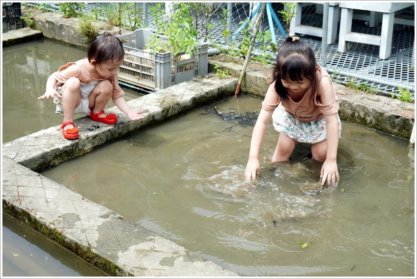 【桃園大溪親子景點】花鹿秘境-李家摸蜆農場．餵小鹿、迷你豬、釣蝦、釣魚、玩水~