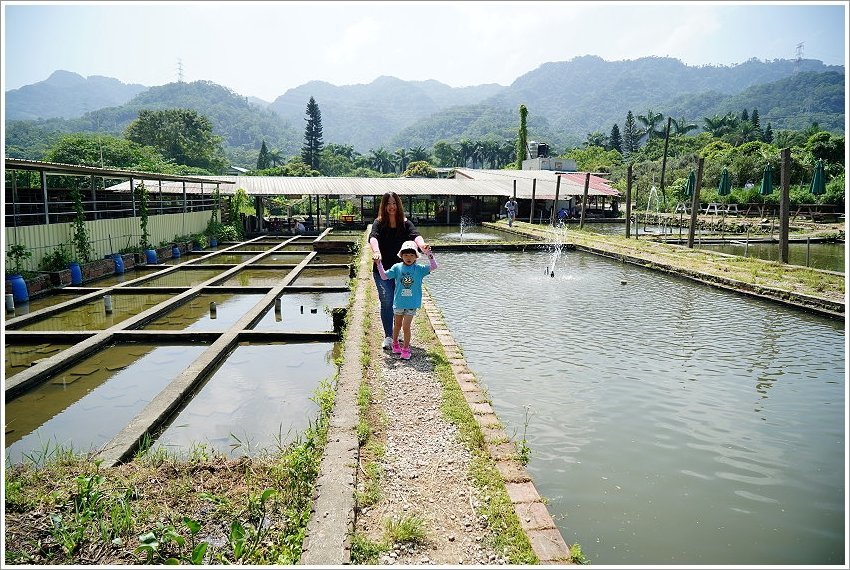 【桃園大溪親子景點】花鹿秘境-李家摸蜆農場．餵小鹿、迷你豬、釣蝦、釣魚、玩水~