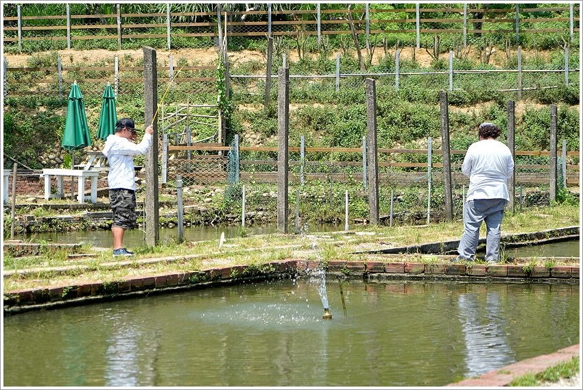 【桃園大溪親子景點】花鹿秘境-李家摸蜆農場．餵小鹿、迷你豬、釣蝦、釣魚、玩水~