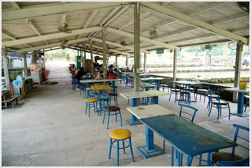 【桃園大溪親子景點】花鹿秘境-李家摸蜆農場．餵小鹿、迷你豬、釣蝦、釣魚、玩水~