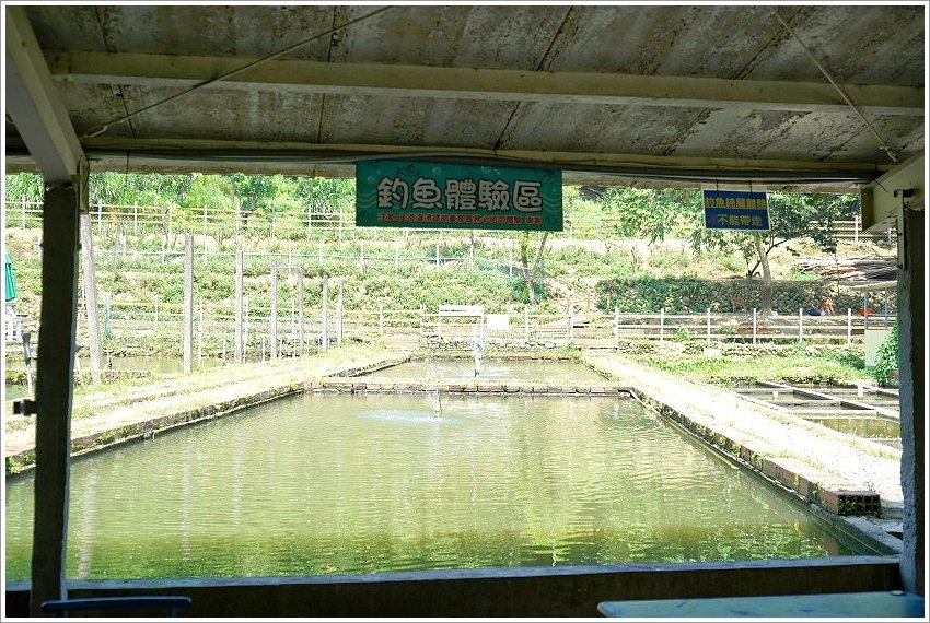 【桃園大溪親子景點】花鹿秘境-李家摸蜆農場．餵小鹿、迷你豬、釣蝦、釣魚、玩水~