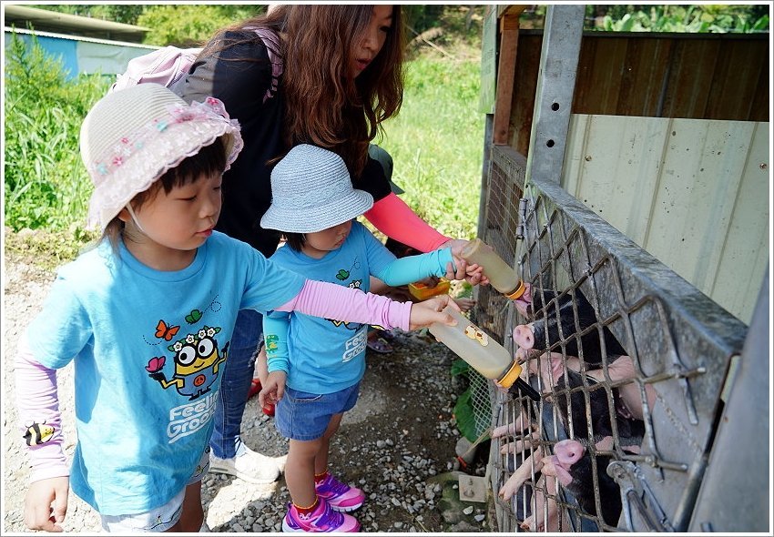 【桃園大溪親子景點】花鹿秘境-李家摸蜆農場．餵小鹿、迷你豬、釣蝦、釣魚、玩水~