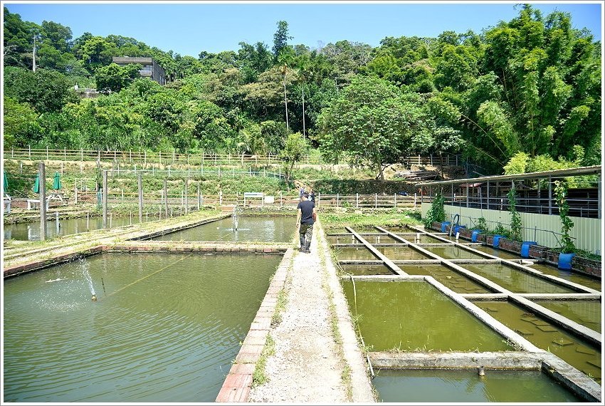 【桃園大溪親子景點】花鹿秘境-李家摸蜆農場．餵小鹿、迷你豬、釣蝦、釣魚、玩水~