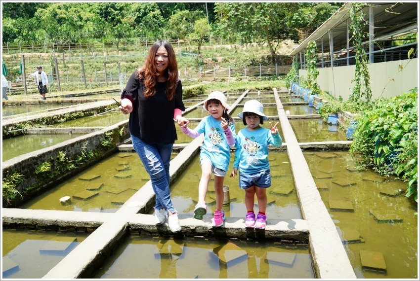 【桃園大溪親子景點】花鹿秘境-李家摸蜆農場．餵小鹿、迷你豬、釣蝦、釣魚、玩水~