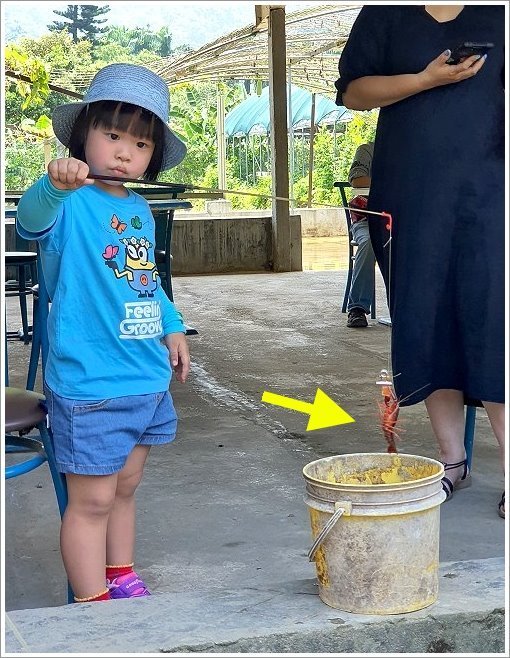【桃園大溪親子景點】花鹿秘境-李家摸蜆農場．餵小鹿、迷你豬、釣蝦、釣魚、玩水~