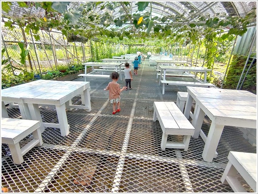 【桃園大溪親子景點】花鹿秘境-李家摸蜆農場．餵小鹿、迷你豬、釣蝦、釣魚、玩水~