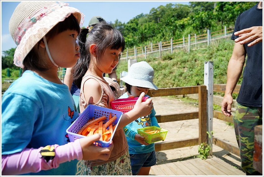 【桃園大溪親子景點】花鹿秘境-李家摸蜆農場．餵小鹿、迷你豬、釣蝦、釣魚、玩水~