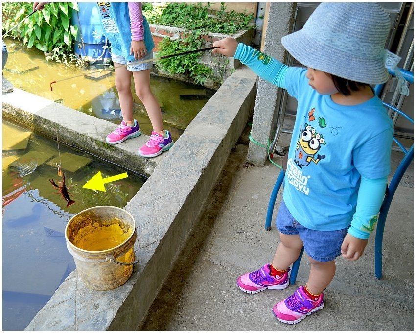 【桃園大溪親子景點】花鹿秘境-李家摸蜆農場．餵小鹿、迷你豬、釣蝦、釣魚、玩水~