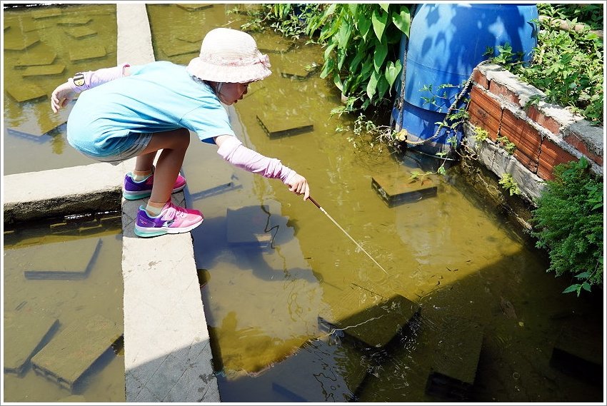 【桃園大溪親子景點】花鹿秘境-李家摸蜆農場．餵小鹿、迷你豬、釣蝦、釣魚、玩水~