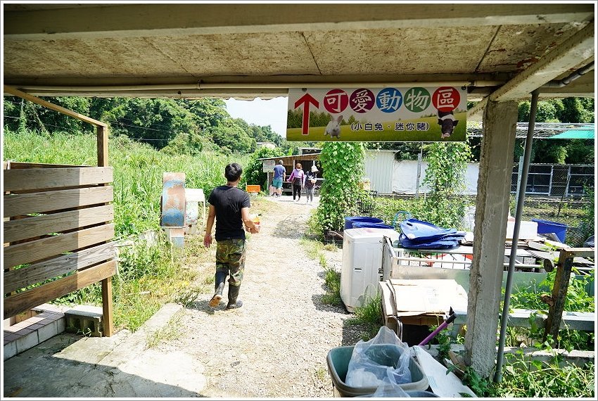 【桃園大溪親子景點】花鹿秘境-李家摸蜆農場．餵小鹿、迷你豬、釣蝦、釣魚、玩水~