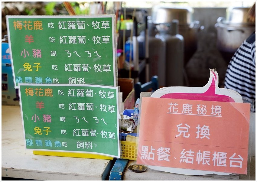 【桃園大溪親子景點】花鹿秘境-李家摸蜆農場．餵小鹿、迷你豬、釣蝦、釣魚、玩水~