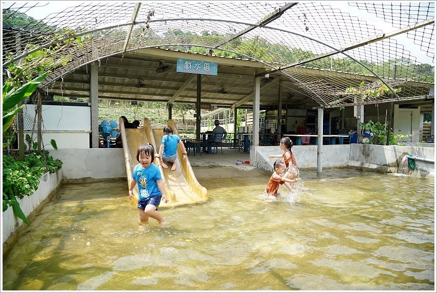 【桃園大溪親子景點】花鹿秘境-李家摸蜆農場．餵小鹿、迷你豬、釣蝦、釣魚、玩水~