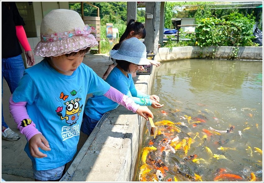 【桃園大溪親子景點】花鹿秘境-李家摸蜆農場．餵小鹿、迷你豬、釣蝦、釣魚、玩水~