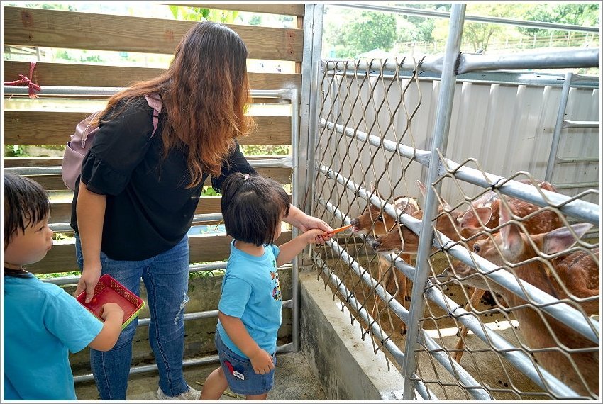 【桃園大溪親子景點】花鹿秘境-李家摸蜆農場．餵小鹿、迷你豬、釣蝦、釣魚、玩水~