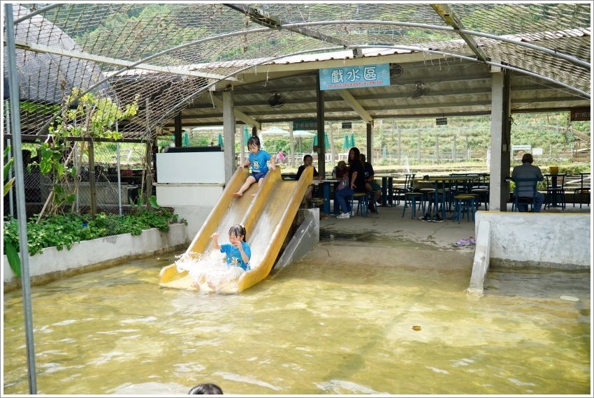 【桃園大溪親子景點】花鹿秘境-李家摸蜆農場．餵小鹿、迷你豬、釣蝦、釣魚、玩水~