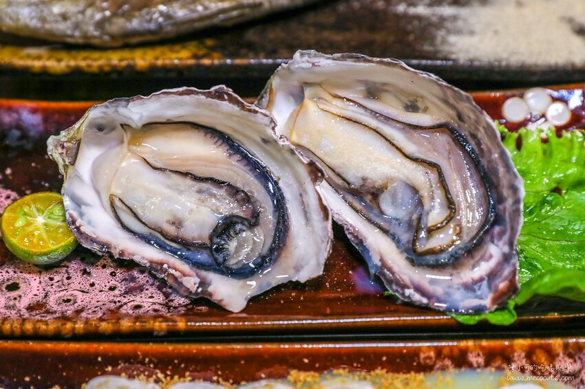 平日六點多就客滿,想吃建議訂位,新北市生意超好的居酒屋,推薦必點生蠔、午仔魚一夜干