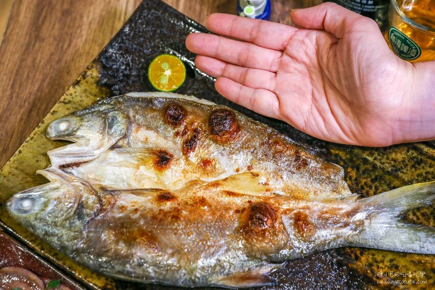 平日六點多就客滿,想吃建議訂位,新北市生意超好的居酒屋,推薦必點生蠔、午仔魚一夜干