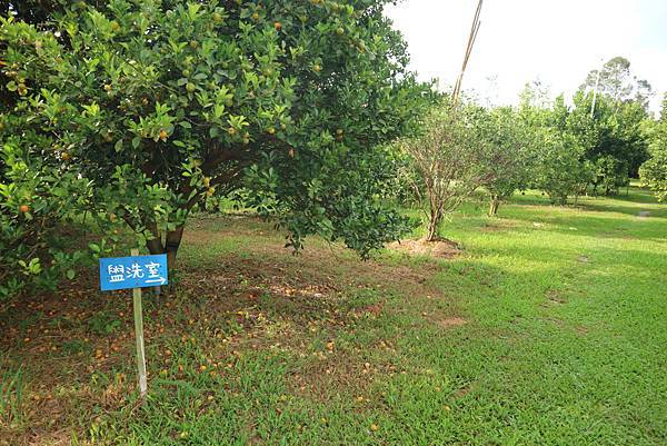 IMG_4690.JPG IMG_4690.JPG