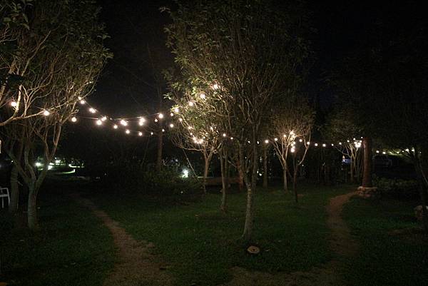 IMG_4833.JPG IMG_4833.JPG