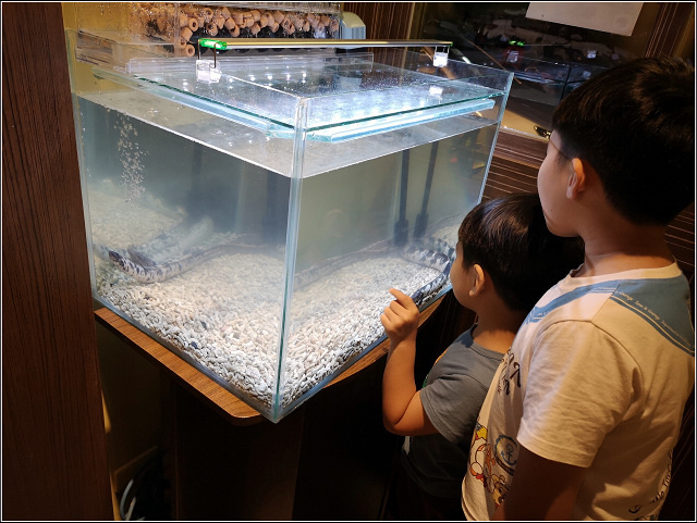 三河中川屋鰻魚飯 - 020.jpg