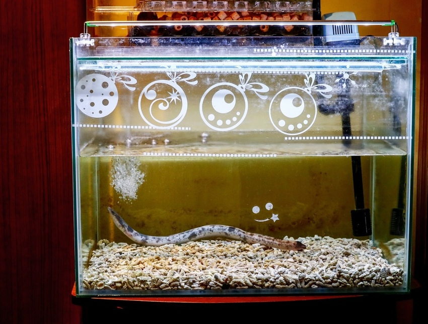 20210128015831_IMG_0210.jpg 20210128015831_IMG_0210.jpg