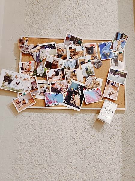 新竹美食:有哩在 Uilly Curry新竹咖哩飯/鍋煮鮮奶茶/鍋煮布丁/薄皮炸雞/隱藏版「牛豬雙拼」咖哩飯/老宅改建(已歇業)