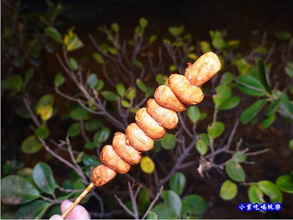 小肉豆-國寶孜然烤肉串攤車 (2).jpg