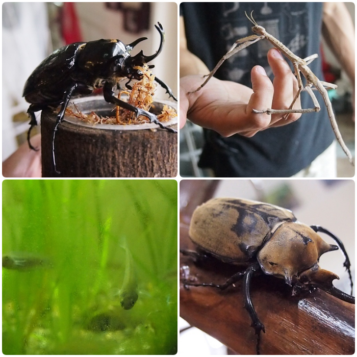 ▋2020宜蘭室內景點 ▋52個宜蘭雨天備案室內景點免煩惱,走到哪裡都能玩! 還有宜蘭153個特色小吃等你來吃喝玩樂。(2020/9/27更新) @捲捲頭 Wonderful 品味。生活