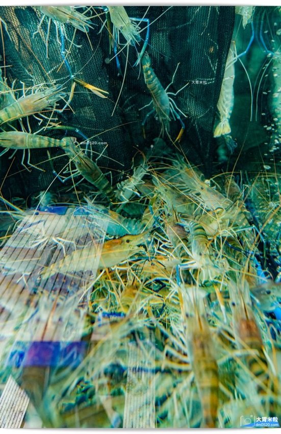 一品活蝦安和店 一品活蝦安和店