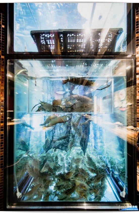 一品活蝦安和店 一品活蝦安和店