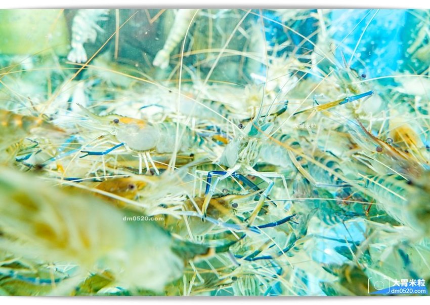 一品活蝦安和店 一品活蝦安和店