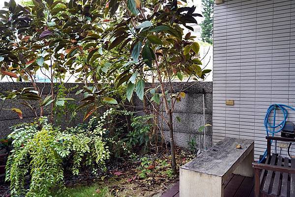 【花蓮住宿】雙魚六號民宿 近七星潭、七星柴魚博物館、四高八地、花蓮車站 (5).JPG