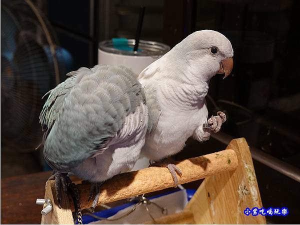 靜宜商圈-秘醬滷味沙鹿特許加盟店 (13).jpg