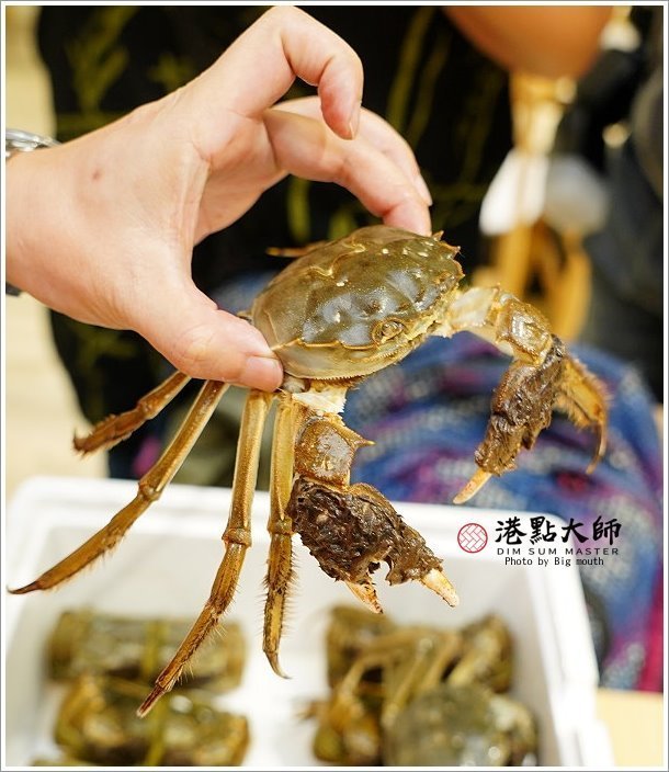 【桃園美食】港點大師．肥美大閘蟹+美味港點，南崁特力屋美食推薦!