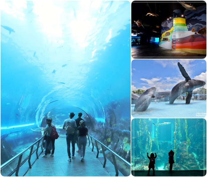 南台灣必逛10間博物館⎪夢幻紙繪森林隧道、看最美的兩個屁屁、極速煙囪溜滑梯、巨大海藻森林、實境遊戲博物館驚魂夜。特色博物館一次搞定! @捲捲頭 Wonderful 品味。生活